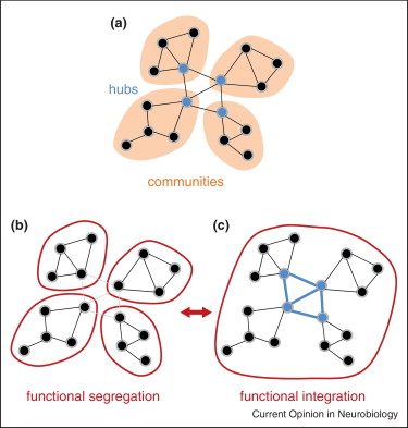 Functional Integration