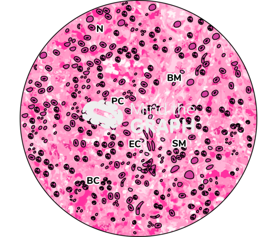 Histology