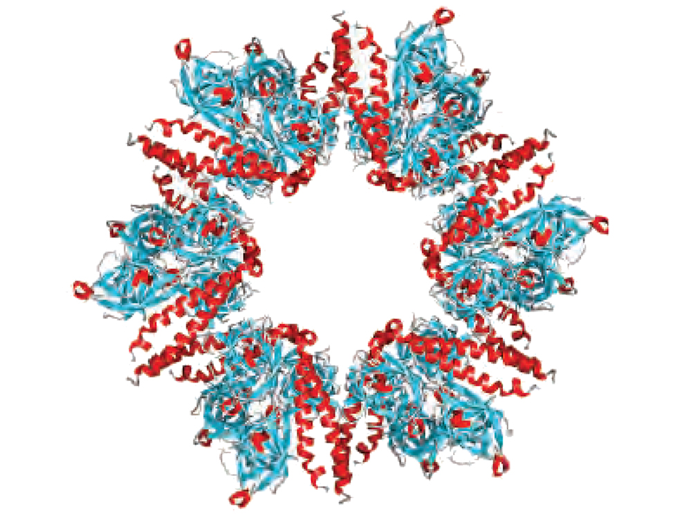 Structural biology